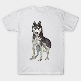 Husky Dog T-Shirt